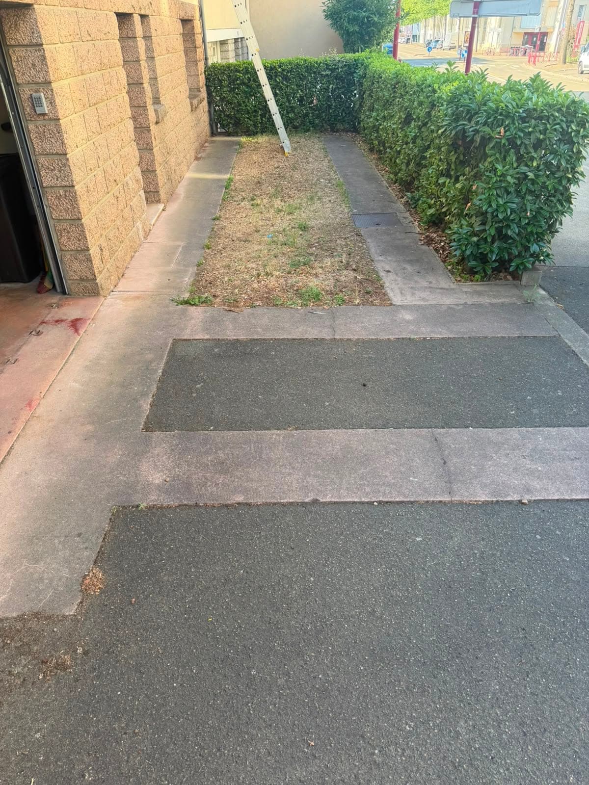 Démoussage et nettoyage de toiture — photo 2
